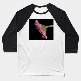 Pink Gerbera Daisy Baseball T-Shirt